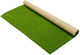 Next Plant Mockup 100x250cm 31123-2