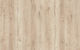 Newplan Laminate Floor Blue Oak Harold 8mm 8-86-BLU33TV-FP700N