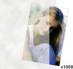 Daiber Album foto Glassine Sleeves 1x1000