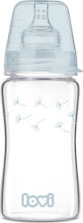 Lovi Baby Glasflasche Diamond Gegen Koliken mit Silikonsauger für 3+ Monate 250ml 74/205