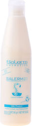 Salerm 21 Silk Protein Leave-Ιn Conditioner 250ml