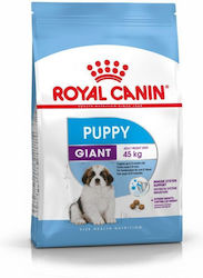 Royal Canin Junior Giant 15kg Ξηρά Τροφή για Κουτάβια Μεγαλόσωμων