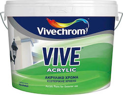 Vivechrom Vive Acrylic Base P Plastic Acrilyc Paint for Exterior Use White 9lt