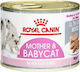 Royal Canin Mother & BabyCat Hrană umedă pentru Pisică Tânără în Poate 12x195gr