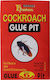 Viosarp Glue Pit Παγίδα για Κατσαρίδες με Κολλητική Επιφάνεια 6τμχ