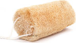 Lufa plant sponge 20cm (package free)