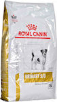 Royal Canin Urinary S/O Small Dog 10kg