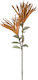 InTheBox Artificial Decorative Branch Teraccota 1 100cm 1pcs