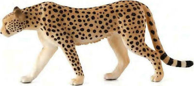 Animal Planet Cheetah Male