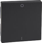 Schneider Electric M-Plan Merten Lighting Front Plate Switch Black Διπολικού MTN433214
