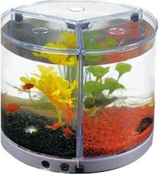 Dophin Aquarium 1lt Dophin Aquarium 1lt