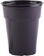 Plastika THrakis Pahar de unică folosință Plastic Negru 300ml 50buc