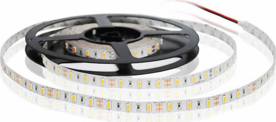 Fos me Ταινία LED 24V Θερμό Λευκό Φως 5m Τύπου SMD5050