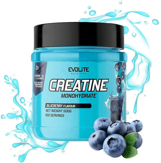 Evolite Creatine Monohydrate Blueberry 500gr