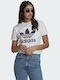 Adidas Adicolor Classics Trefoil Damen Sportlich T-shirt Weiß