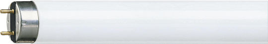 Philips Λάμπα Φθορίου για Ντουί G13 με Σχήμα T8 36W
