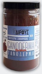 Μανιτάρια Δίρφυς Γανόδερμα σε Σκόνη 60gr Μανιτάρια Δίρφυς Γανόδερμα σε Σκόνη 60gr