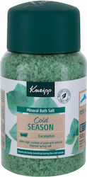 Kneipp Cold Season Eucalyptus 500gr