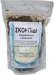 HealthTrade Asplenium Ceterach 30g