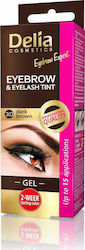 Delia Cosmetics Eyebrow Expert 2x15ml Tönung Fü...
