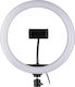 Ring Light LED Ring Light 33cm 25W 33cm 3200-5600K με Βάση για Κινητό Black