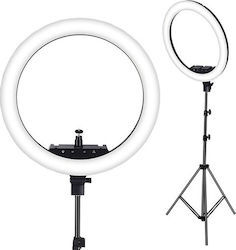 CXB-460 Ring Light 43cm 3200 - 5800K cu Trepiadă Etaj și Suport pentru Mobil