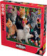 Παιδικό Puzzle Παιχνιδιάρικα Γατάκια 260pcs Anatolian