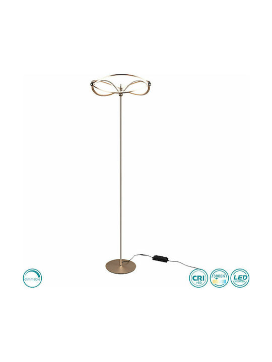 Trio Lighting Charivari Lampa de podea LED Î175xL52cm. cu Lumină Alb Cald 3700lm Bronz