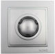 Mono Electric Despina Metallic Χωνευτός Διακόπτης Dimmer με Πλαίσιο Κλασικός Περιστροφικός 800W σε Ασημί Χρώμα