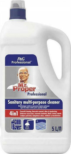 Mr. Proper Sanitary Ειδικό Καθαριστικό για Επαγγελματική Χρήση Κατάλληλο για Πέτρα 5ml