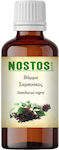 Nostos Pure Βάμμα Σαμπούκος Elderflower 50ml