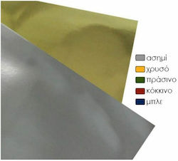 Exas Paper Χαρτόνι Μεταλλιζέ Διπλής Όψης 50x70εκ. Ασημί Exas Paper Χαρτόνι Μεταλλιζέ Διπλής Όψης 50x70εκ. Ασημί