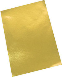 Exas Paper 0890000