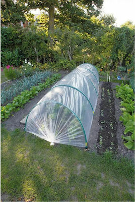 Nature 403680 Greenhouse Tunnel