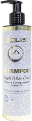 Aqua Pet Σαμπουάν Σκύλου 300ml Aqua Pet Σαμπουάν Σκύλου 300ml