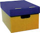 Next Classic Paper File Box with Lids