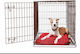 Glee Custi de câine din sârmă cu 2 uși Cușcă metalică restricție Xxlarge 122x74.5x80.5cm 122x74.5x80.5cm 88504