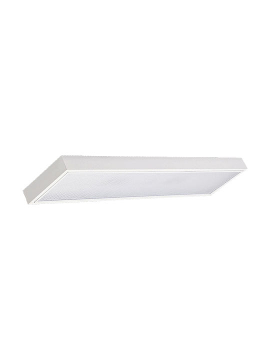 Aca Deckenleuchte für den Außenbereich T8 x2 36W Stahl mit Abdeckung in Weiß Farbe PS236IP40O