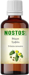 Nostos Pure Βάμμα Τριβόλι 100ml