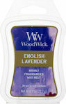 WoodWick 1Stück 22.7gr
