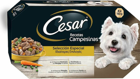Cesar Multipack Υγρή Τροφή Σκύλων σε Ταψάκι με Αρνί, Γαλοπούλα, Κοτόπουλο και Μοσχάρι 4x150gr