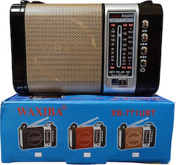 Waxiba XB-771 Tragbares Radio mit USB Gold