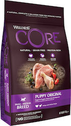Wellness Core Puppy Original 10kg Dry Food Grain-Free for Small & Medium Breed Puppies with Turkey and Chicken