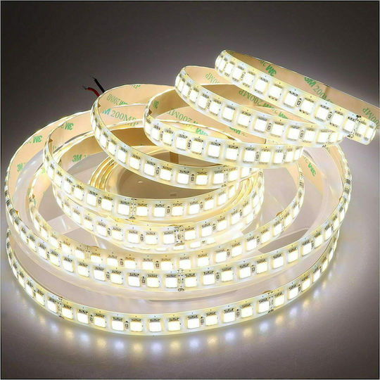 Waterproof LED Strip 24V Adjustable White Light 5m