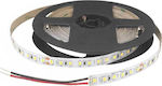 Cubalux Waterproof LED Strip Power Supply 24V with Warm White Light Length 5m and 120 LEDs per Meter