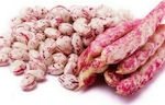 Seed Seed Bean Barbel climbing 20gr- The bean blushes very early and can be eaten whole, Very productive