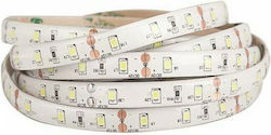 Eurolamp Ταινία LED Τροφοδοσίας 12V με Φυσικό Λευκό Φως Μήκους 5m και 60 LED ανά Μέτρο Τύπου SMD2835