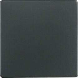 Hager Q1/Q3 Lichtschalterplatte in Schwarz Farb...