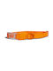 Zee-Dog NeoPro Κολάρο Σκύλου σε Πορτοκαλί χρώμα Tangerine Small Περιλαίμιο