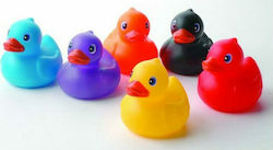 Eddy Toys Bath Ducks for 18+ months 6pcs